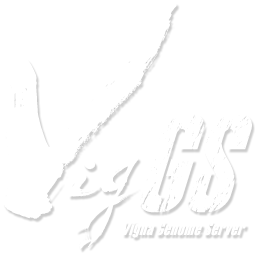 VigGS