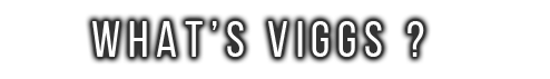 WHAT'S VIGGS ?